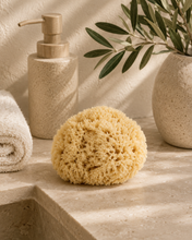 Load image into Gallery viewer, Sea Sponge