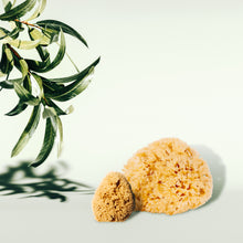 Load image into Gallery viewer, Facial Sea Sponge