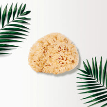 Load image into Gallery viewer, Sea Sponge