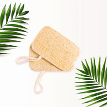 Load image into Gallery viewer, Loofah Sponge