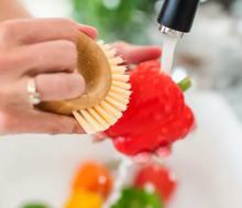 Load image into Gallery viewer, Veggie Scrubber Brush