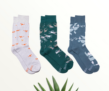 Load image into Gallery viewer, Conscious Step Socks