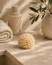 Load image into Gallery viewer, Facial Sea Sponge

